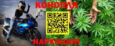 mdpv Белореченск
