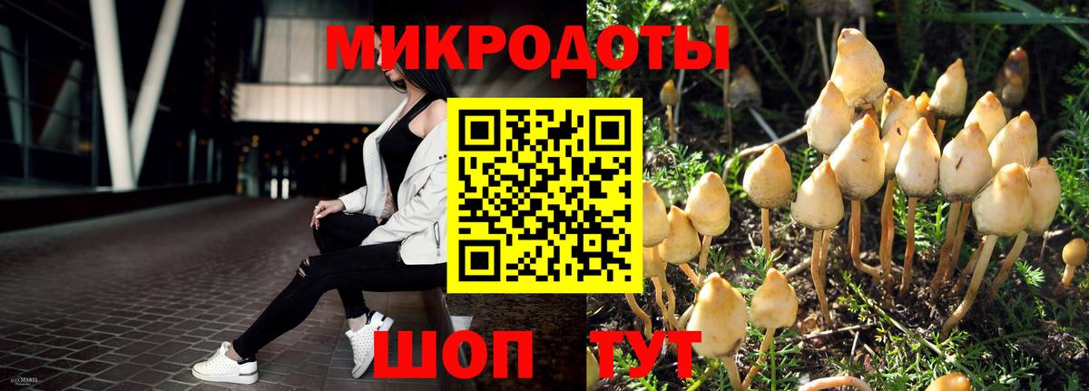 Галлюциногенные грибы прущие грибы  Вход с VPN  Псилоцибиновые грибы Cubensis  Арзамас 